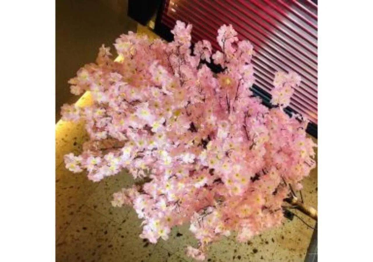 Sakura Sky Hotel - Vacation Stay 18445V Tokyo Japan